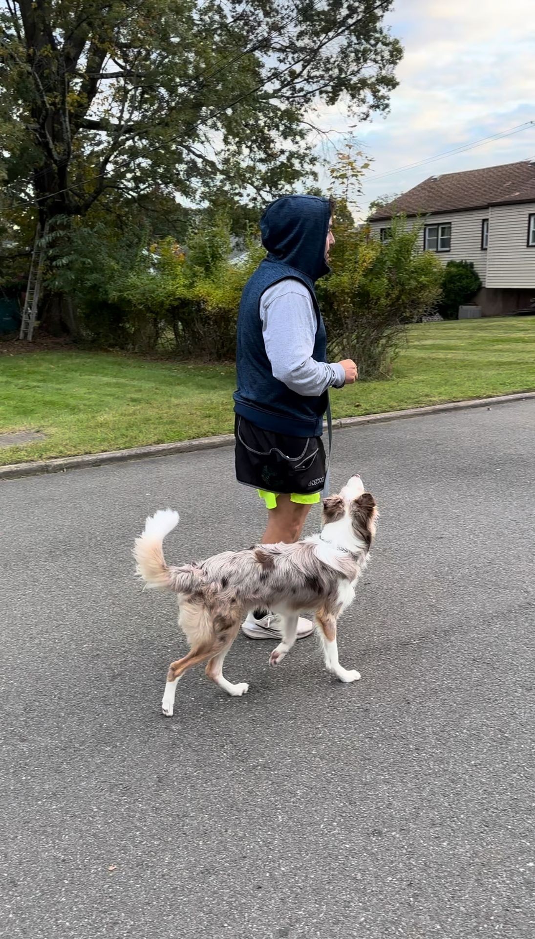 Dog walker exploring a neighborhood with their pet